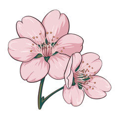 Pink Flower Vector Illustration with Floral Design and Beautiful Nature Elements