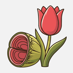 Vector illustration of red tulips in a vase with floral and nature design elements