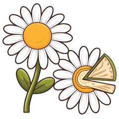 Floral Data: A charming graphic of two daisies, one whole and one dissected, symbolizing data visualization in a whimsical and engaging manner.