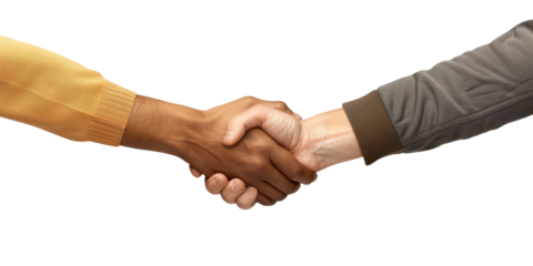 Celebrating Team Success: Colleagues Handshake After Project Win