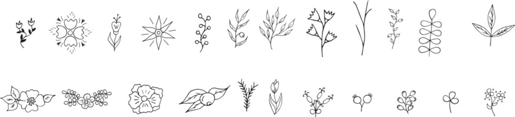 a set of hand drawn plants and flowers, floral vector illustration