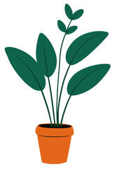 Plant in a pot