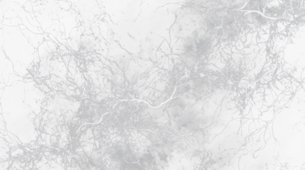 a black and white marble background