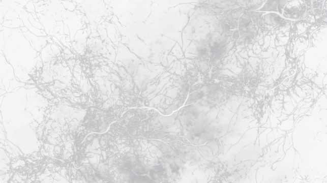 a black and white marble background