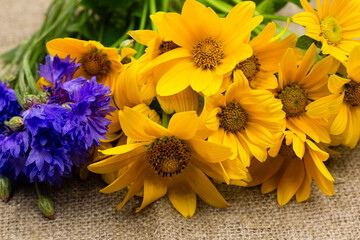 flowers, floral background