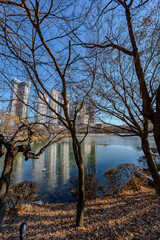 Obraz premium 韓国 利川市の風景