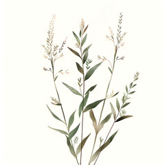 Naklejka premium Elegant Latanier Plant on Minimal White Background