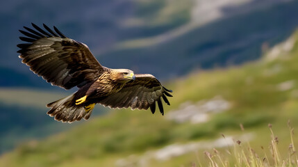Fototapeta premium Majestic Golden Eagle Soaring Over Verdant Mountain Landscape in Bright Daylight : Generative AI