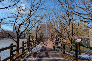 Fototapeta premium 韓国 利川市の風景