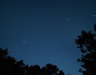 Fototapeta premium A Tranquil Summer Evening Under a Starlit Sky, Accompanied by the Soft Songs of Crickets.