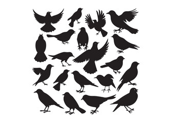 Bird Silhouettes Collection, black silhouettes of wild forest birds. Winter wild animal