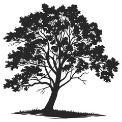 Obraz premium Hickory tree silhouette vector illustration