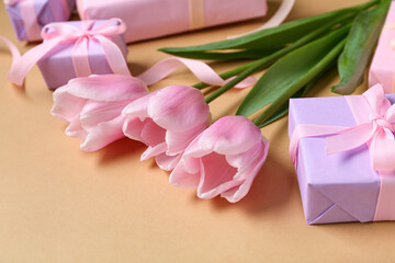 Gift boxes and pink tulips on beige background