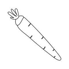 A simple coloring page with a carrot. Black and white vegetable icon.