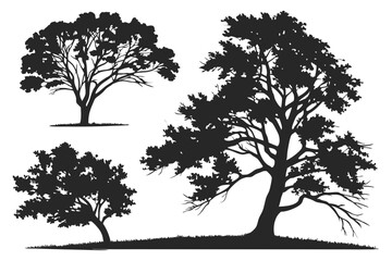 Obraz premium set of Elm tree silhouette vector illustration
