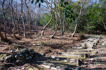 日本の兵庫県相生市の遠見山の美しい風景