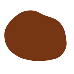 vector illustration of a brown bread