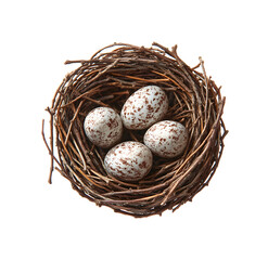 Obraz premium Natural Bird Nest with Spotted Eggs on Transparent Background