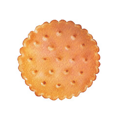 A traditional watercolor simple circle cookie isolated on a white backgroun