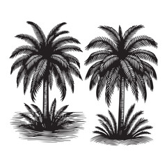 Vintage Palm Tree Line Art Illustration
