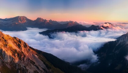 A magical journey through a world of wonder.  