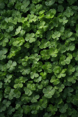 A delicate clover with vibrant green leaves, symbolizing luck and nature's simplicity, captured in a serene and natural setting