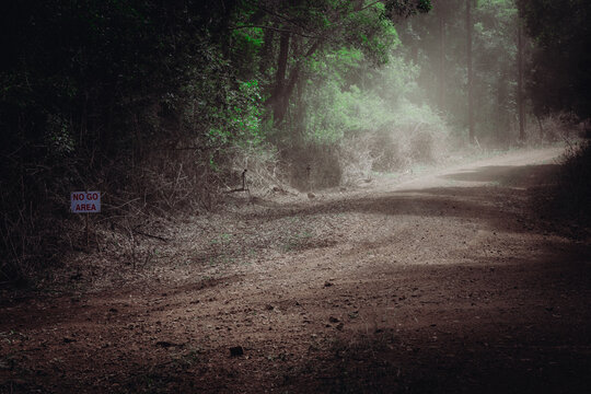 Dusty road in forest near Blackbutt QLD