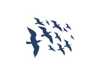 Set of Male Body Posing Silhouette. Male Body Silhouette Set � Posing, Fitness, Standing, Action, Man Figure