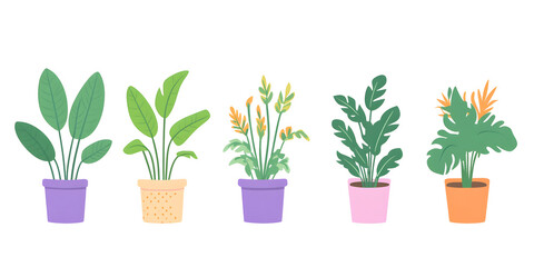 Vibrant potted plants colorful foliage home decor