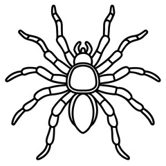 Tarantula Ink Lines
