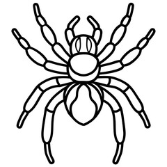 Tarantula Ink Lines