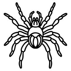 Tarantula Ink Lines