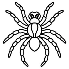 Obraz premium Tarantula Ink Lines