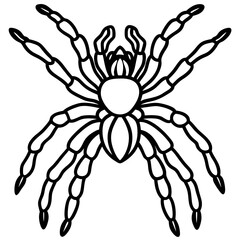 Tarantula Ink Lines