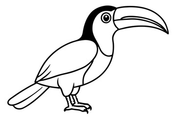 Toucan Monoline Drawing