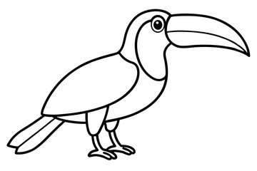 Toucan Monoline Drawing