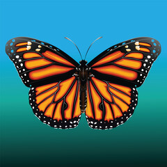 A vector illustration of a monarch butterfly with striking orange and black patterned wings, adorned with white spots along the edges.The butterfly is set against a smooth blue-to-green gradient bg.
