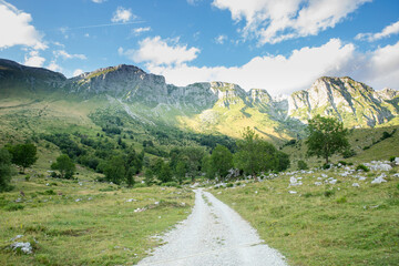 Road leading into Mountain