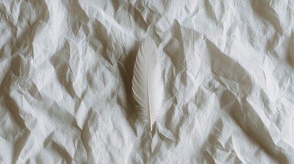 Obraz premium Single white feather on crumpled paper background, minimalist aesthetic