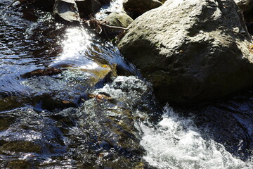 川のせせらぎと水の流れ