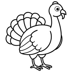Wild Turkey Line Art