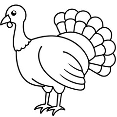 Wild Turkey Line Art