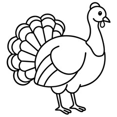 Wild Turkey Line Art