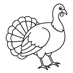 Wild Turkey Line Art