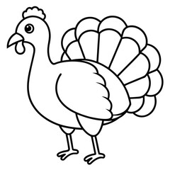 Wild Turkey Line Art