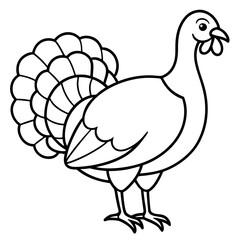Wild Turkey Line Art