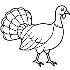 Wild Turkey Line Art