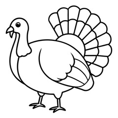 Wild Turkey Line Art