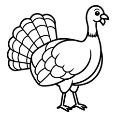 Wild Turkey Line Art