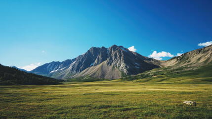 Fototapeta premium Majestic Mountain Range Vista with Expansive Meadow under a Brilliant Blue Sky Capturing the Serene Beauty of Nature and a Sense of Tranquility